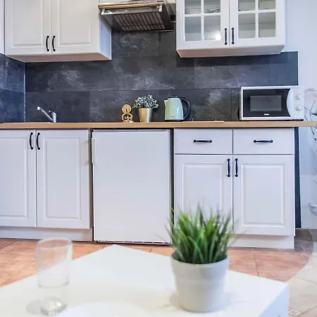 Apartment Studio Wita Stwosza Gdansk