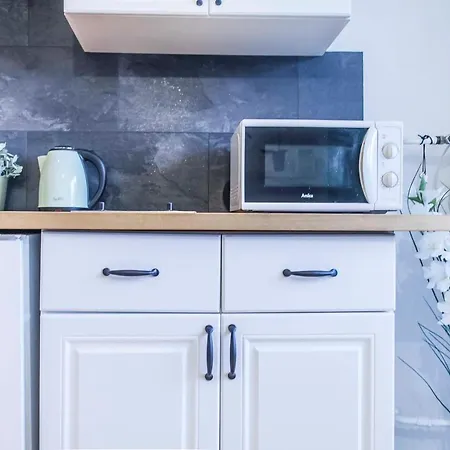 Studio Wita Stwosza Apartment Gdansk