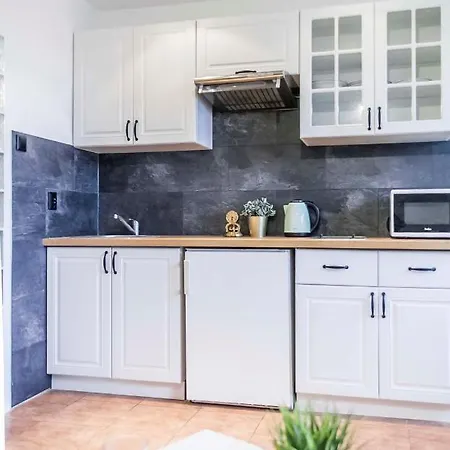 Studio Wita Stwosza Appartement Gdańsk