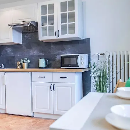 Studio Wita Stwosza Apartment *